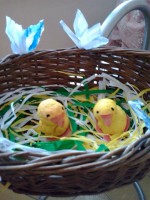 /album/galleria-foto-homepage/a2014-03-28-13-30-11-1-jpg/